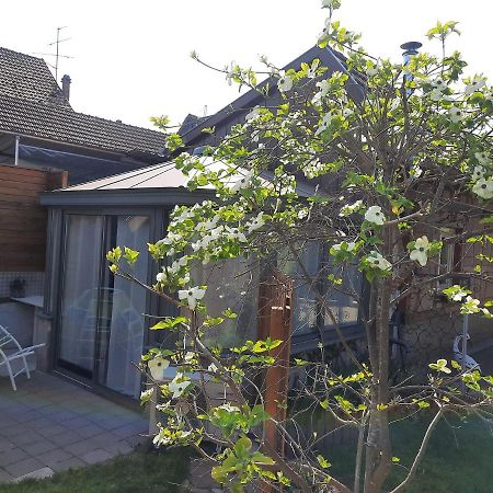 Villa Oasis D'Alsace Valff Exterior foto